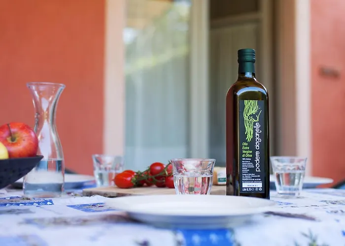Bio Podere Doganelle *